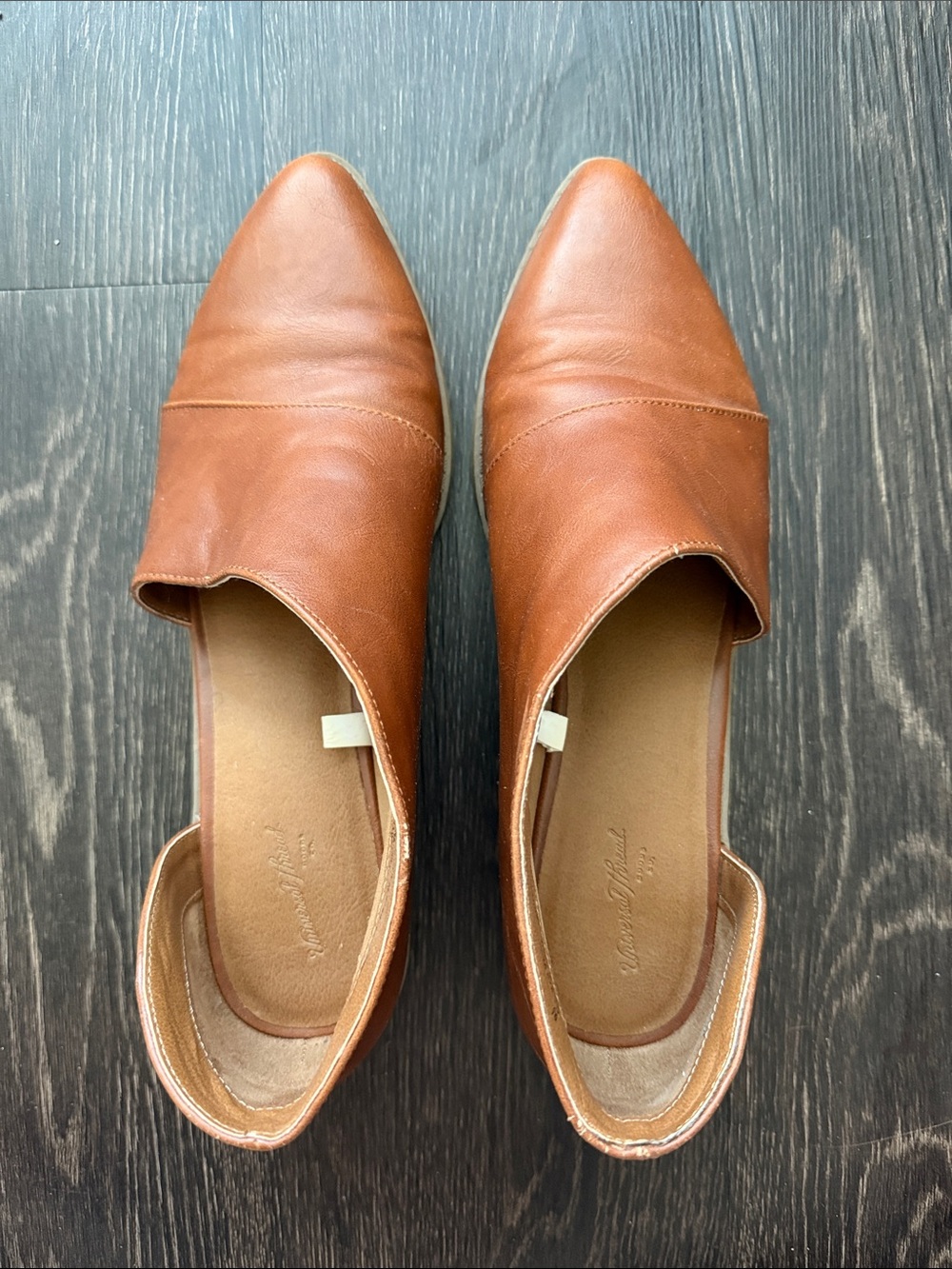 Women's Pointed Pointed-Toe Mule in Cognac